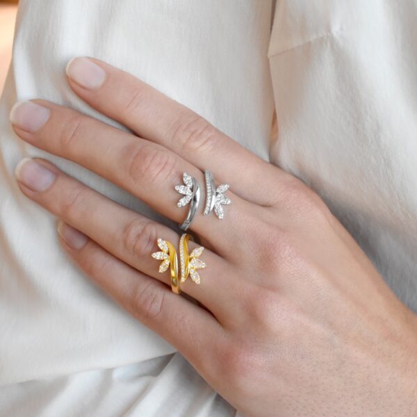 image00331